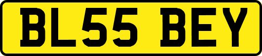 BL55BEY