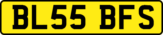BL55BFS