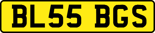 BL55BGS