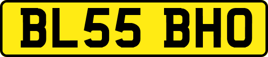 BL55BHO