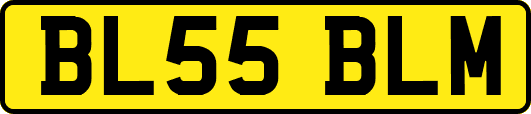 BL55BLM