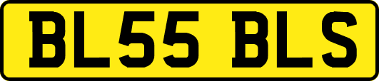 BL55BLS