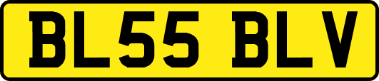 BL55BLV