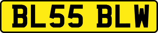 BL55BLW