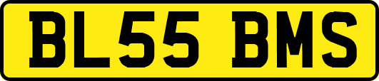 BL55BMS