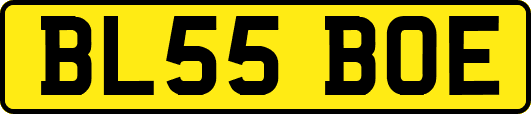 BL55BOE
