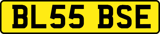 BL55BSE