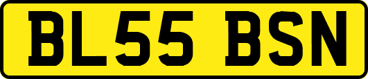 BL55BSN