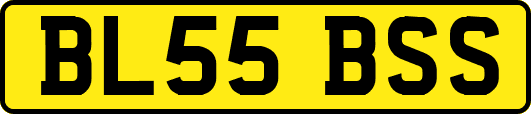 BL55BSS