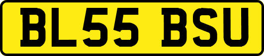 BL55BSU