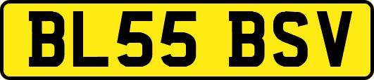 BL55BSV
