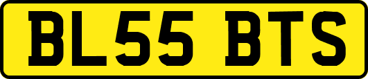BL55BTS