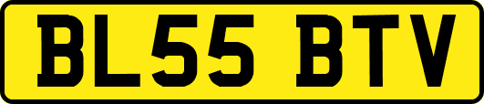 BL55BTV