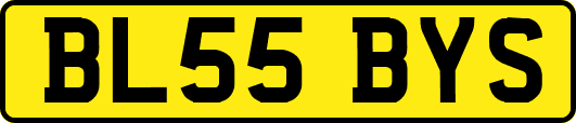 BL55BYS