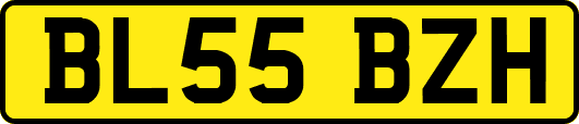 BL55BZH