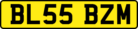 BL55BZM