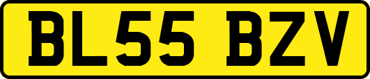 BL55BZV