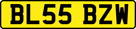 BL55BZW