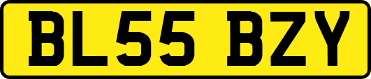 BL55BZY