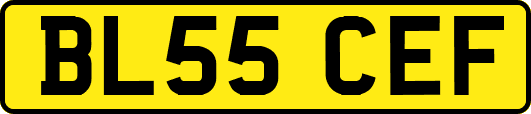 BL55CEF