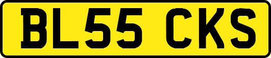 BL55CKS