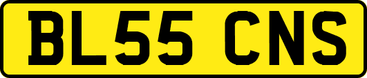 BL55CNS