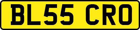 BL55CRO