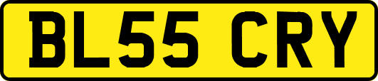 BL55CRY