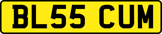 BL55CUM