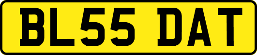 BL55DAT