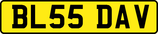 BL55DAV