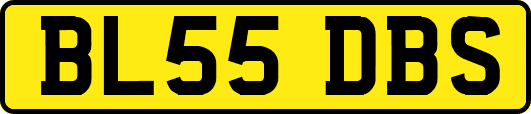 BL55DBS