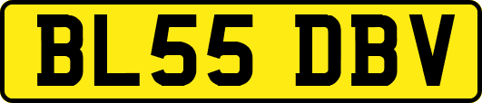 BL55DBV