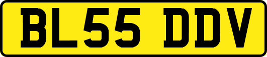 BL55DDV