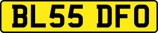 BL55DFO