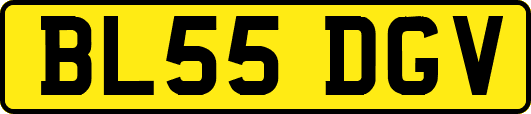 BL55DGV