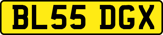 BL55DGX