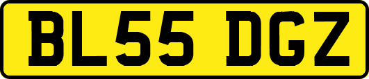 BL55DGZ