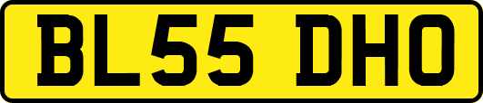BL55DHO