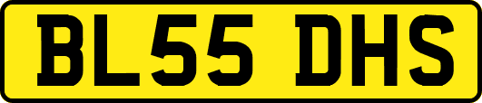 BL55DHS