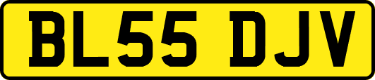 BL55DJV