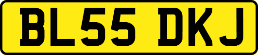 BL55DKJ