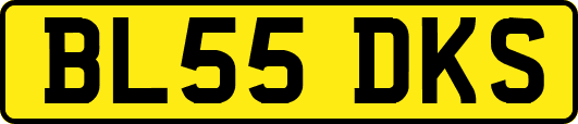 BL55DKS