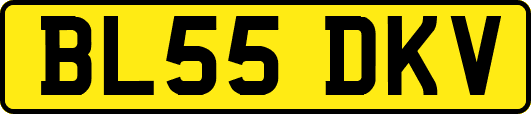 BL55DKV