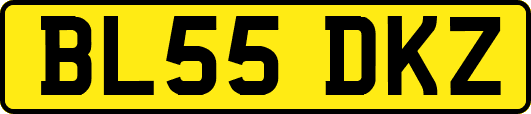 BL55DKZ