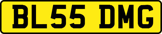 BL55DMG