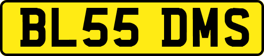 BL55DMS