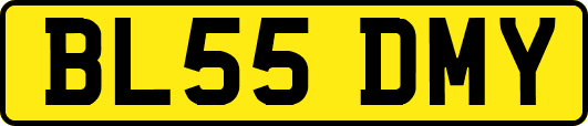 BL55DMY