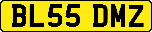 BL55DMZ