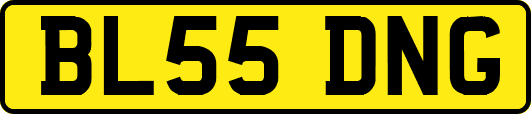 BL55DNG